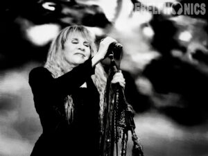 Stevie Nicks at Ruoff Music Center