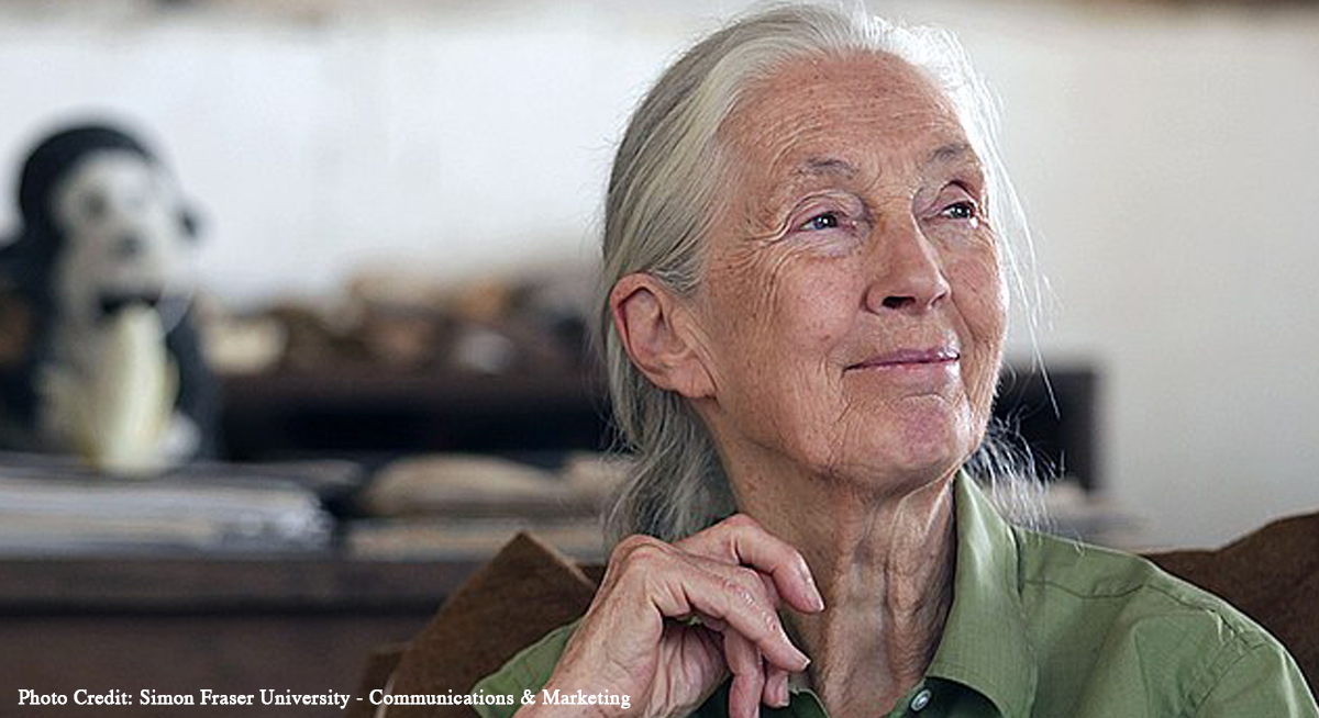Photo of Jane Goodall. Photo Credit: Photo Credit: Simon Fraser University - Communications & Marketing